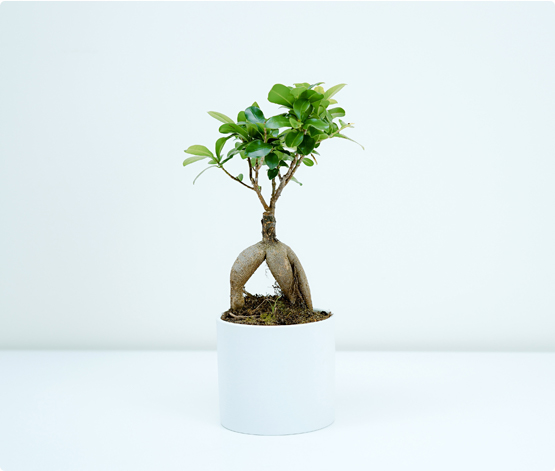 茂融實業有限公司
